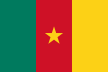 drapeau Cameroun