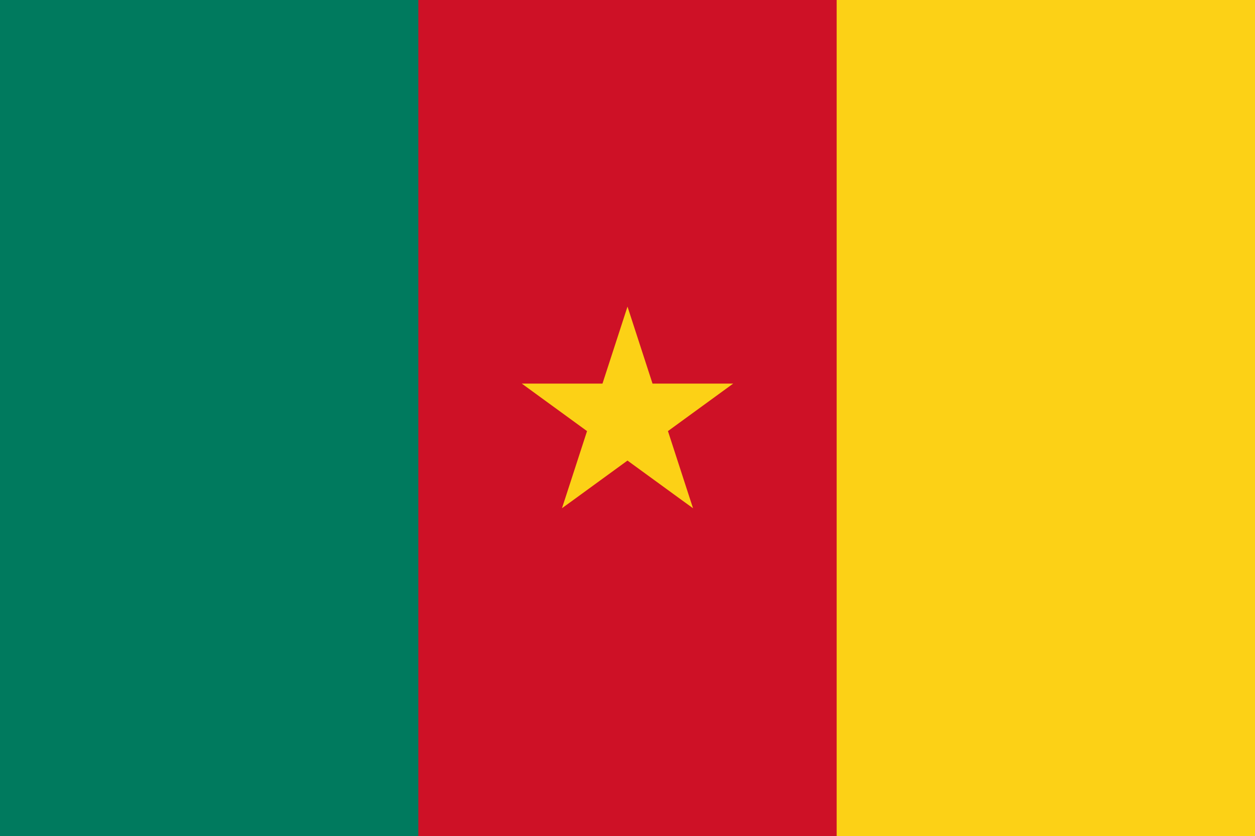 drapeau Cameroun