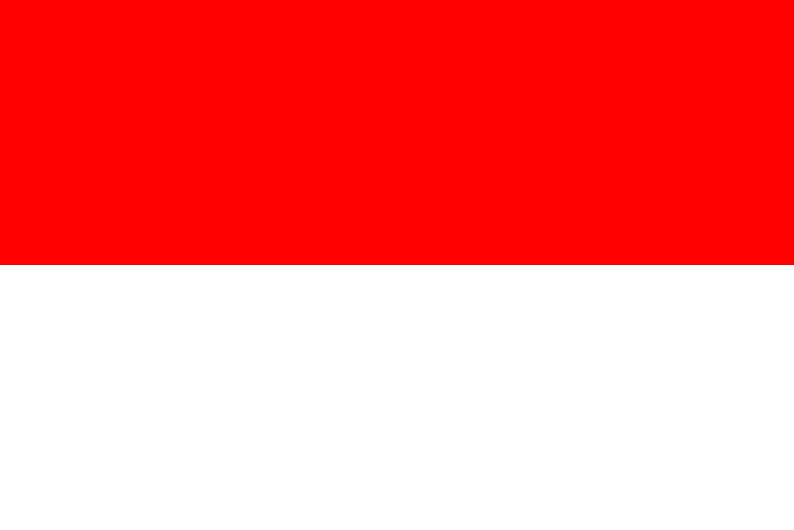 drapeau Indonésie