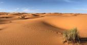 Désert Algérie